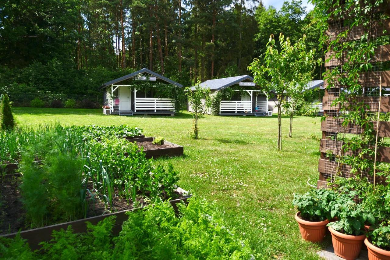 Przylesie21 Villa Ustka Exterior photo